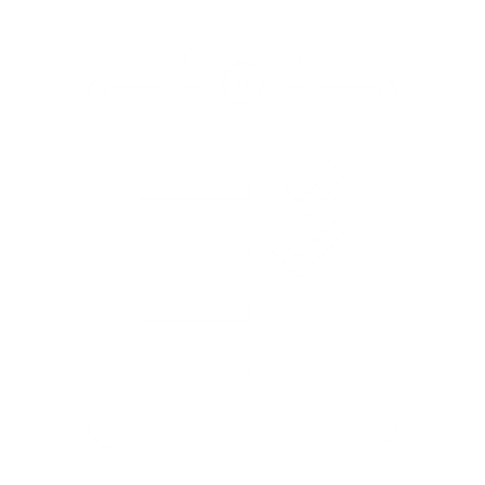 Rapid Organisation Diagnostic